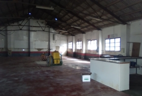 Foto 15