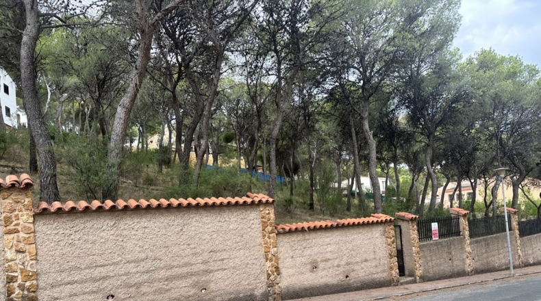 Valencia - Torres Torres - 2000m2
