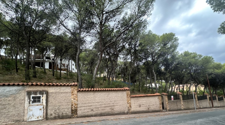 Valencia - Torres Torres - 2000m2
