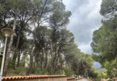Urban land for sale in Torres Torres ref: TR253079 photo