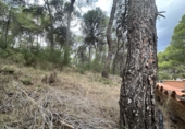 Urban land for sale in Torres Torres ref: TR253079 photo