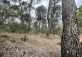 Urban land for sale in Torres Torres ref: TR253079 photo