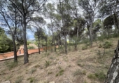 Urban land for sale in Torres Torres ref: TR253079 photo