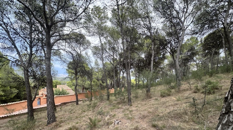 Valencia - Torres Torres - 2000m2