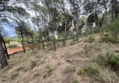 Urban land for sale in Torres Torres ref: TR253079 photo