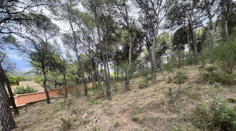Valencia - Torres Torres - 2000m2