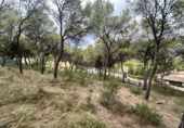 Urban land for sale in Torres Torres ref: TR253079 photo