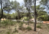 Urban land for sale in Torres Torres ref: TR253079 photo
