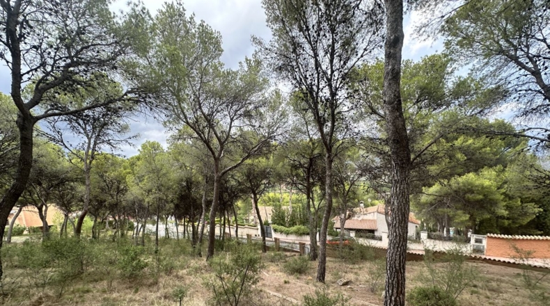 Valencia - Torres Torres - 2000m2
