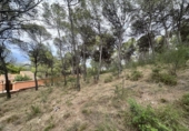 Urban land for sale in Torres Torres ref: TR253079 photo