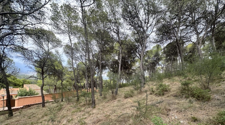 Valencia - Torres Torres - 2000m2
