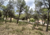 Urban land for sale in Torres Torres ref: TR253079 photo