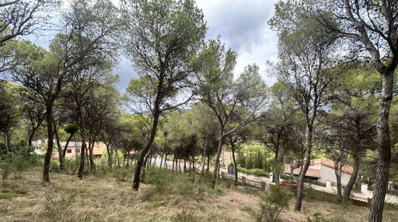 Valencia - Torres Torres - 2000m2