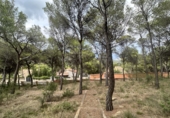 Urban land for sale in Torres Torres ref: TR253079 photo