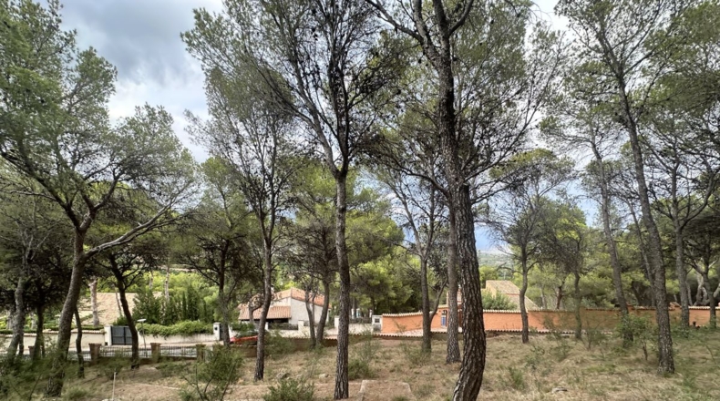 Valencia - Torres Torres - 2000m2