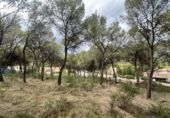 Urban land for sale in Torres Torres ref: TR253079 photo