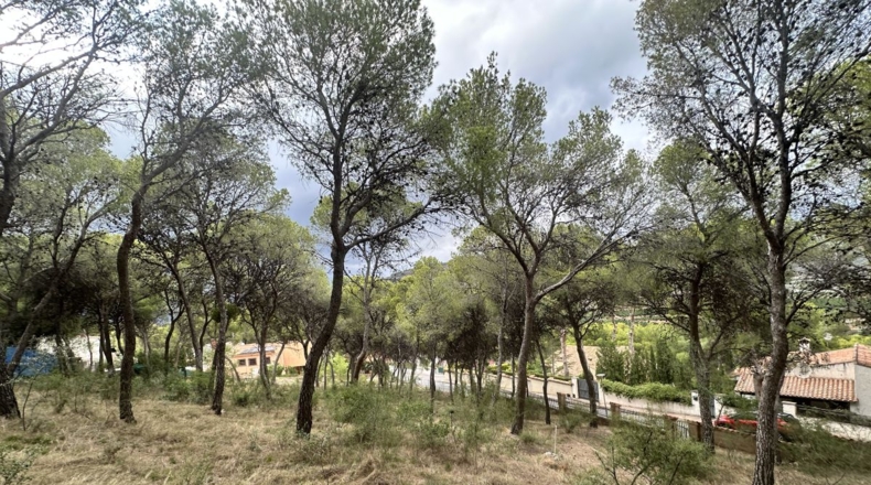 Valencia - Torres Torres - 2000m2