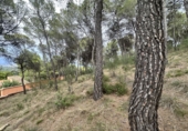 Urban land for sale in Torres Torres ref: TR253079 photo