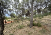 Urban land for sale in Torres Torres ref: TR253079 photo