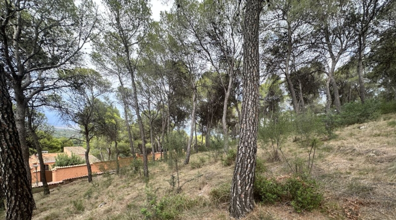 Valencia - Torres Torres - 2000m2