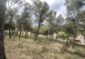 Urban land for sale in Torres Torres ref: TR253079 photo