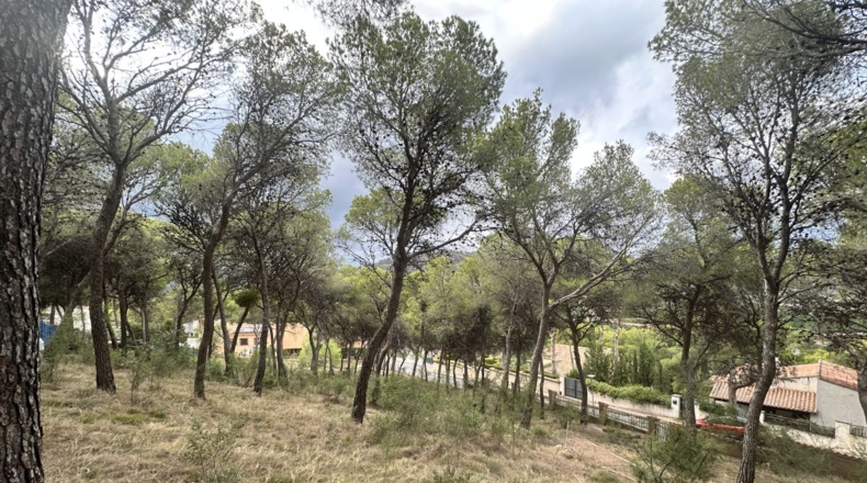 Valencia - Torres Torres - 2000m2