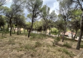 Urban land for sale in Torres Torres ref: TR253079 photo