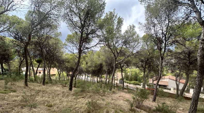 Valencia - Torres Torres - 2000m2