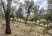 Urban land for sale in Torres Torres ref: TR253079 photo