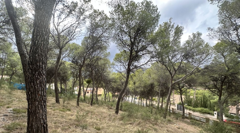 Valencia - Torres Torres - 2000m2