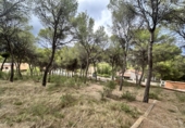 Urban land for sale in Torres Torres ref: TR253079 photo