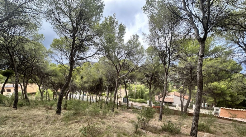 Valencia - Torres Torres - 2000m2