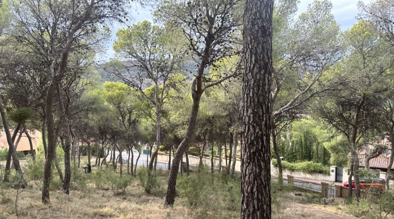 Valencia - Torres Torres - 2000m2