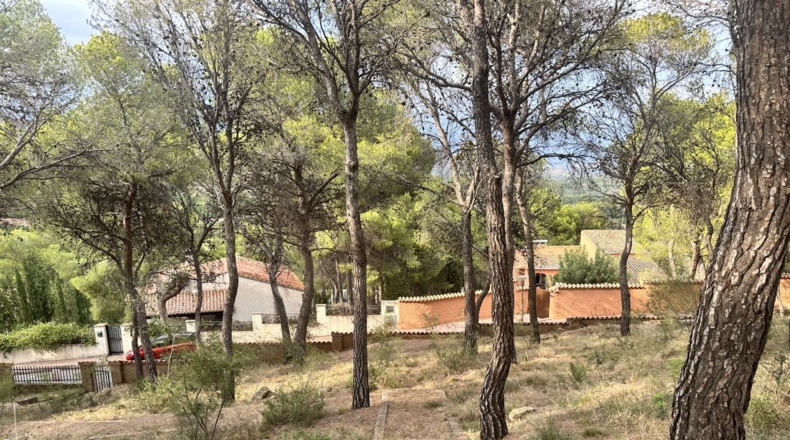 Valencia - Torres Torres - 2000m2
