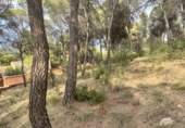 Urban land for sale in Torres Torres ref: TR253079 photo