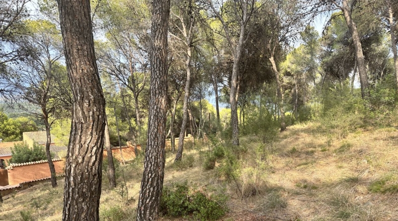 Valencia - Torres Torres - 2000m2