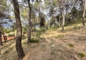 Urban land for sale in Torres Torres ref: TR253079 photo