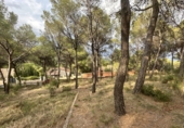 Urban land for sale in Torres Torres ref: TR253079 photo