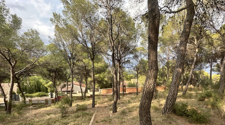Valencia - Torres Torres - 2000m2
