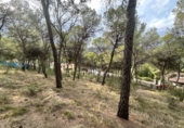 Urban land for sale in Torres Torres ref: TR253079 photo