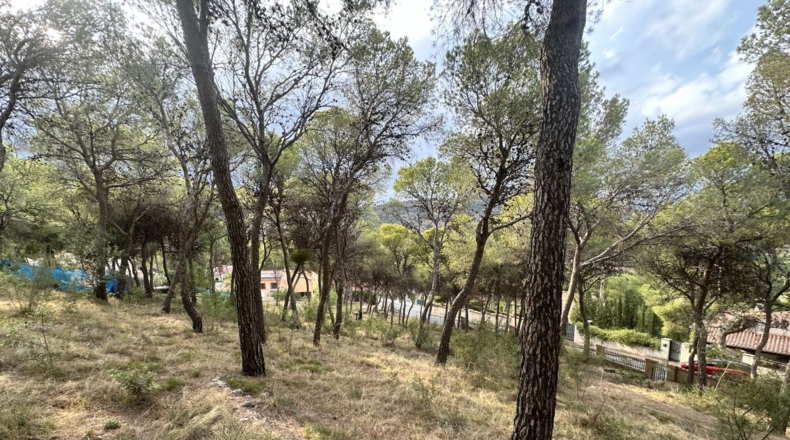 Valencia - Torres Torres - 2000m2