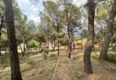 Urban land for sale in Torres Torres ref: TR253079 photo