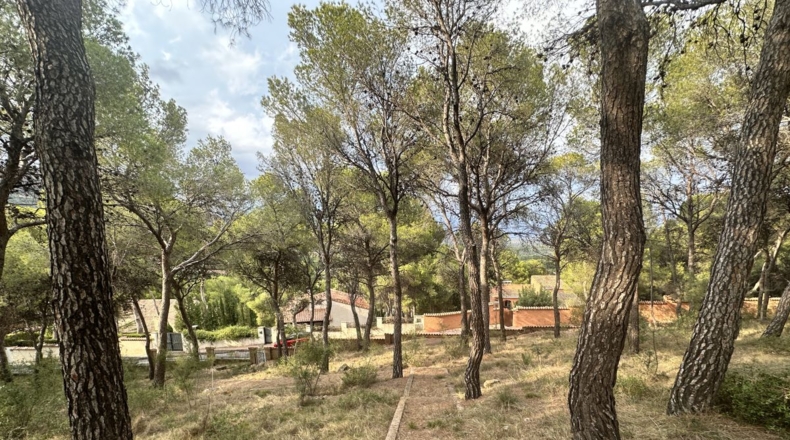Valencia - Torres Torres - 2000m2