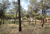 Urban land for sale in Torres Torres ref: TR253079 photo