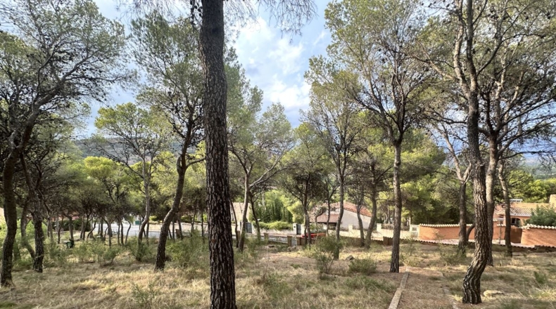 Valencia - Torres Torres - 2000m2