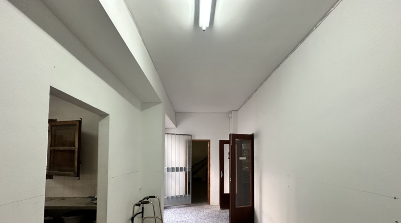 Valencia - Algímia d'Alfara - 450m2