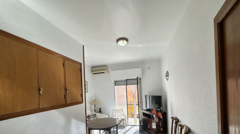 Valencia - Algímia d'Alfara - 450m2