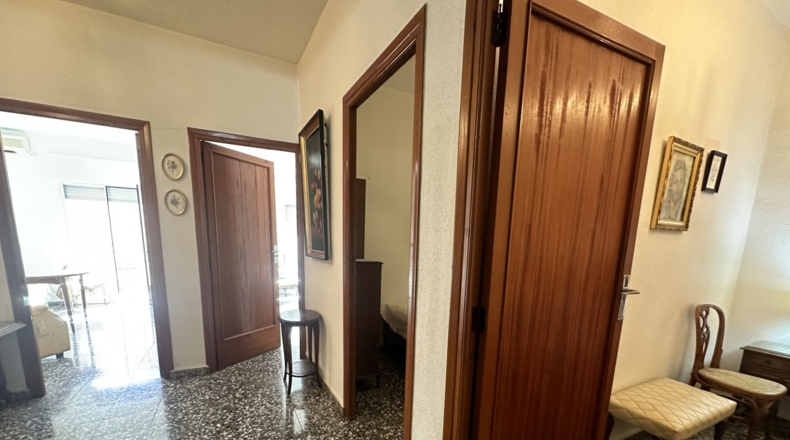Valencia - Algímia d'Alfara - 450m2