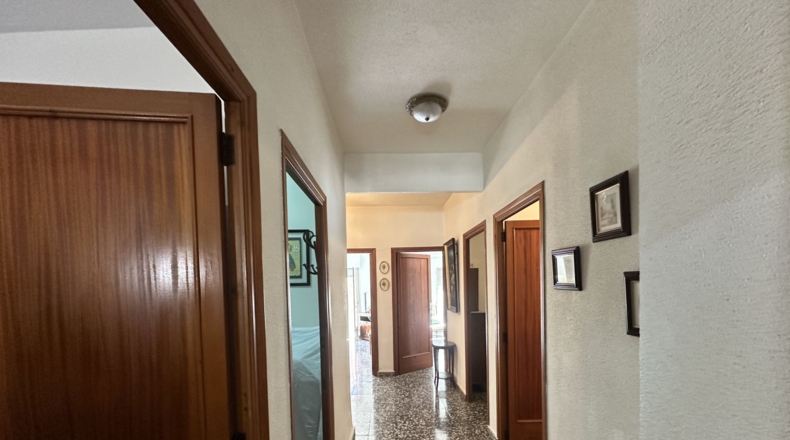 Valencia - Algímia d'Alfara - 450m2
