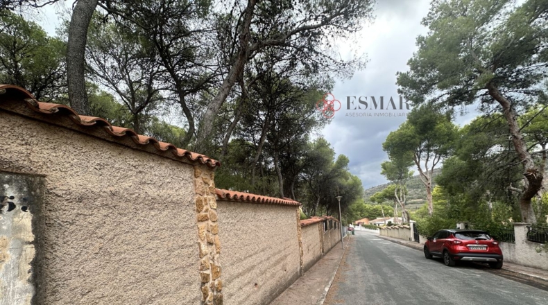 Valencia - Torres Torres - 1000m2